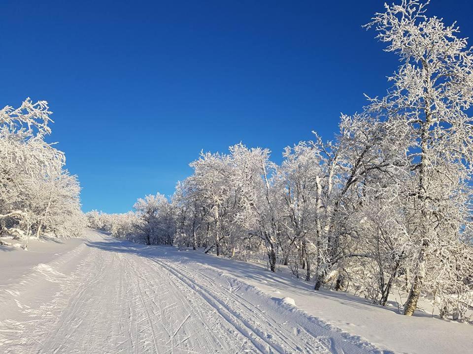 - Modern Fjällstuga Med Panoramautsikt Och Wifi Semesterbostad *