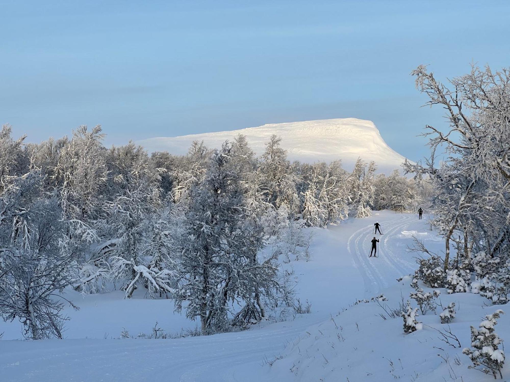 Semesterbostad - Modern Fjällstuga Med Panoramautsikt Och Wifi
